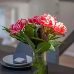 Guest house Ruby Red House Sofia