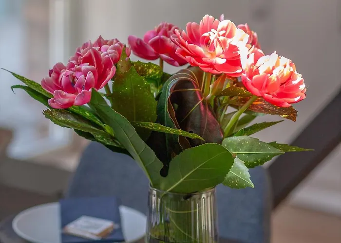 Гостевой дом Ruby Red House София